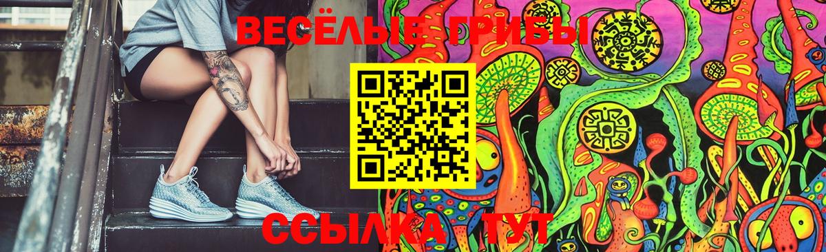 Галлюциногенные грибы Psilocybe  Вход с VPN  Избербаш 